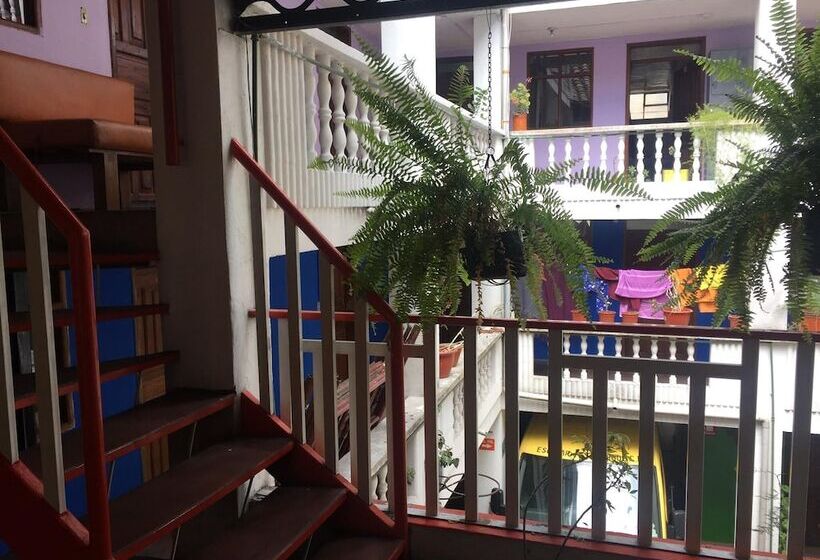 Hostal La Guayunga   Hostel