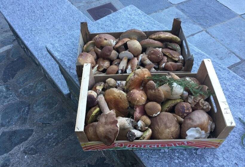 פונדק Osteria Gaute La Nata