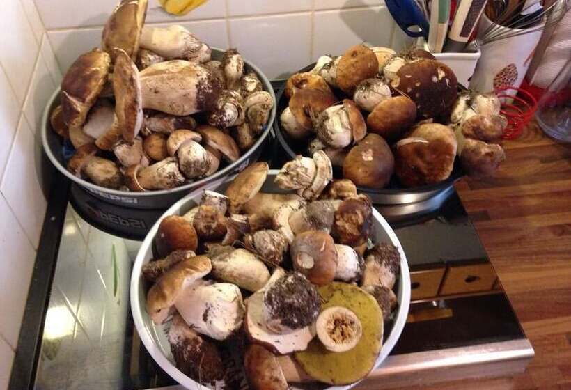 פונדק Osteria Gaute La Nata