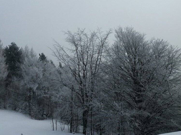 פונדק Osteria Gaute La Nata