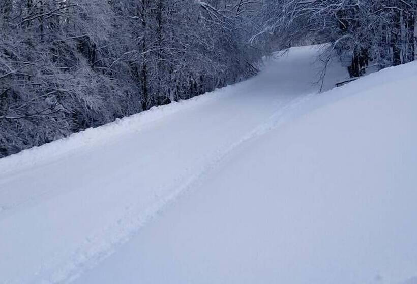فندق فئة نجمة واحدة Ristorante Albergo Rifugio Montescuro