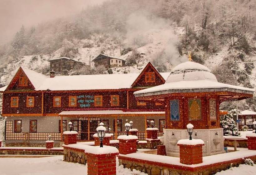 酒店 Adile Sultan Konagi