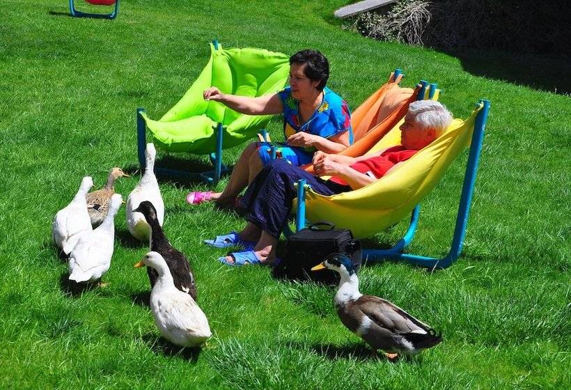 Отель Basaranlar Thermal