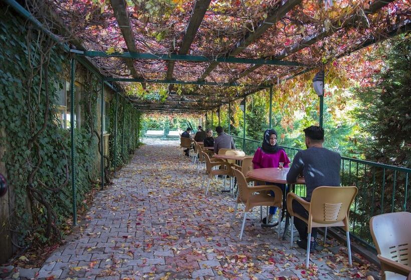 Отель Basaranlar Thermal