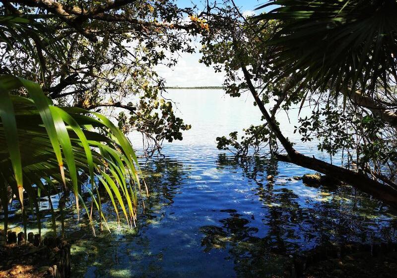 فندق Buenavista Bacalar