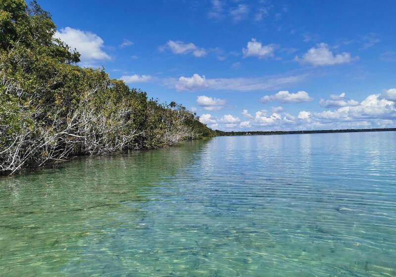 فندق Buenavista Bacalar