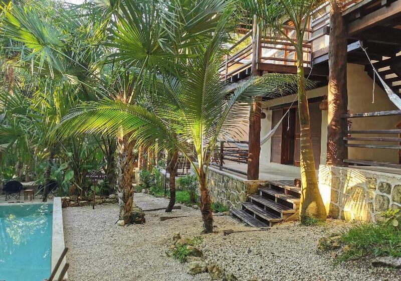 فندق Buenavista Bacalar