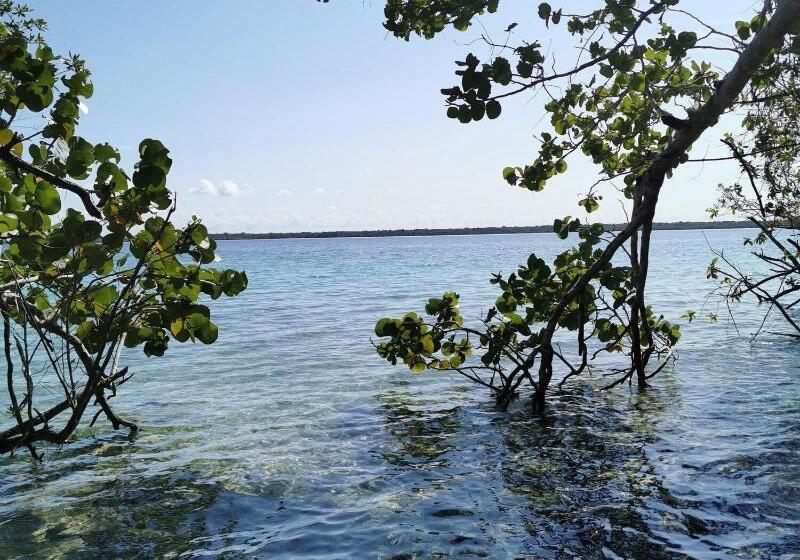 فندق Buenavista Bacalar