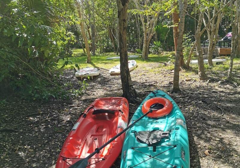 فندق Buenavista Bacalar