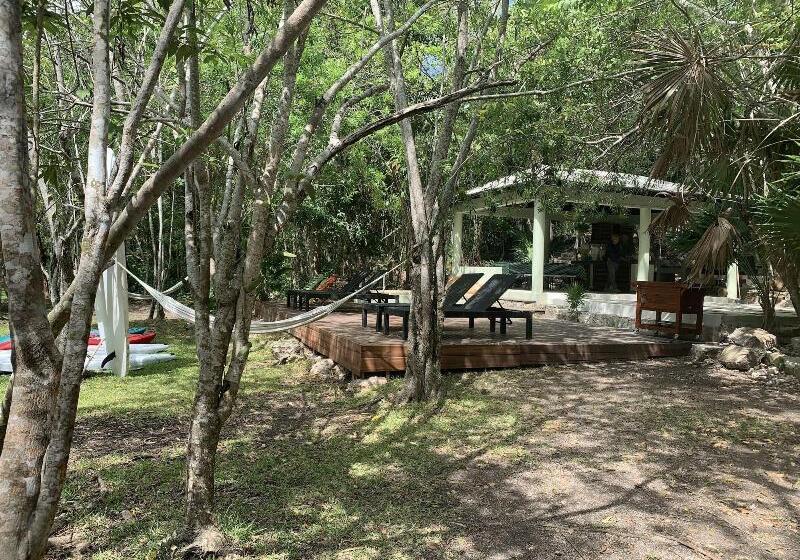 فندق Buenavista Bacalar