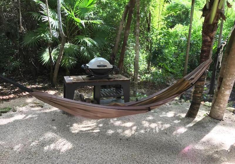 فندق Buenavista Bacalar