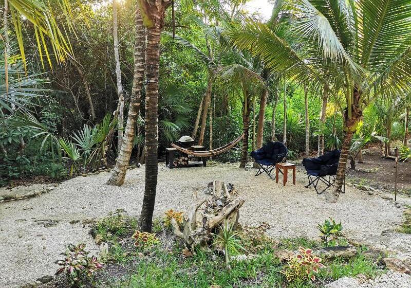 فندق Buenavista Bacalar