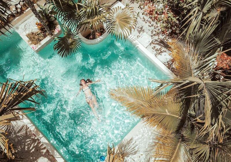 فندق Buenavista Bacalar