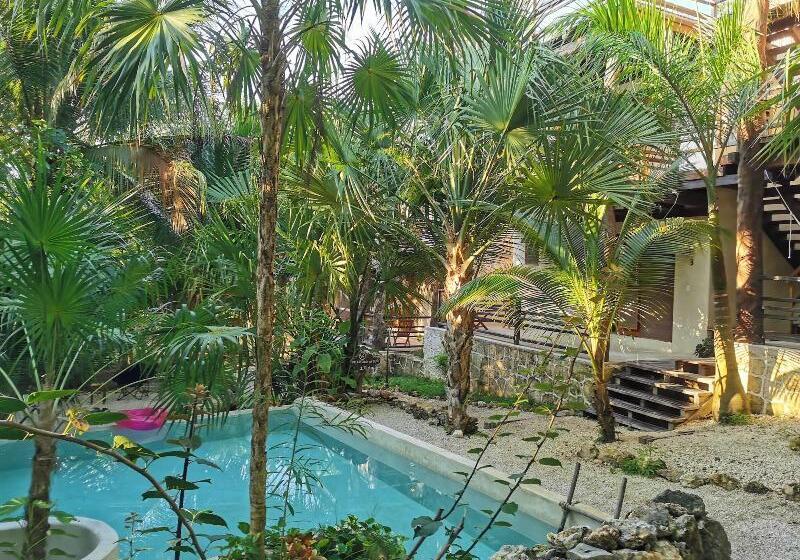 فندق Buenavista Bacalar