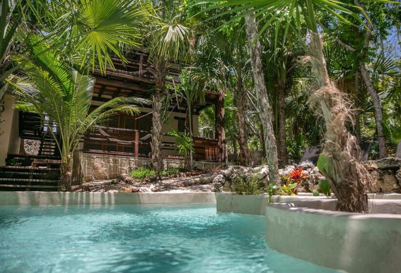 فندق Buenavista Bacalar