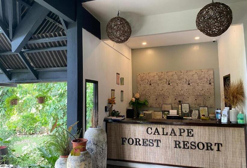 Отель Calape Forest Resort