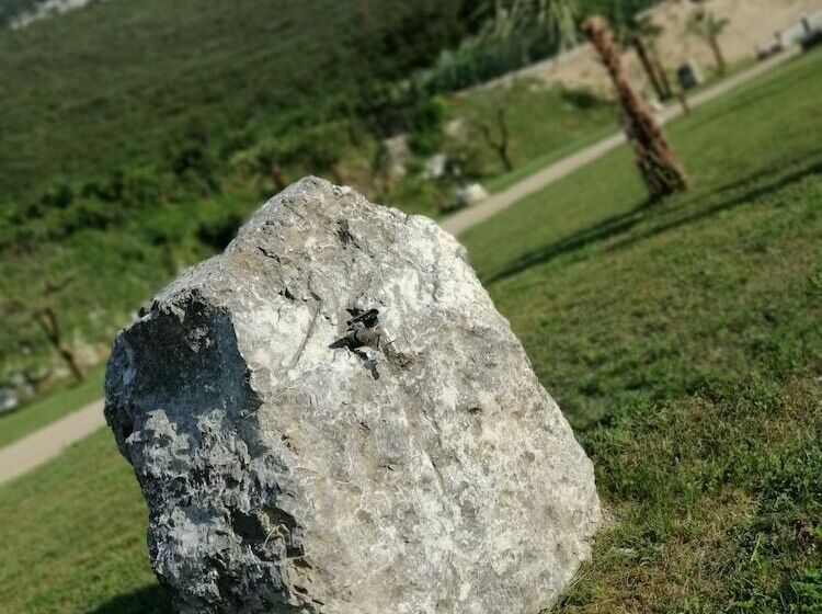 酒店 Camping Le Marocche