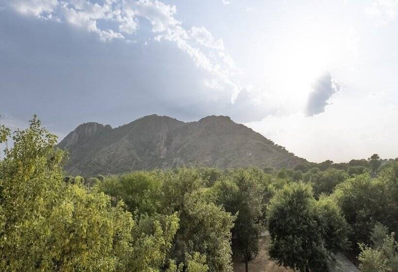 فندق Chandsen Eco Dera Wellness Retreat & Spa