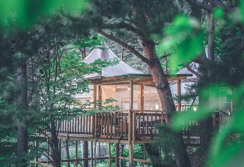 ホテル Couplestar In Forest Glamping