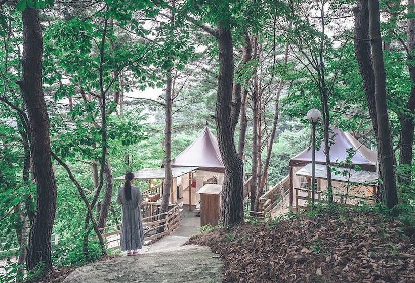 ホテル Couplestar In Forest Glamping