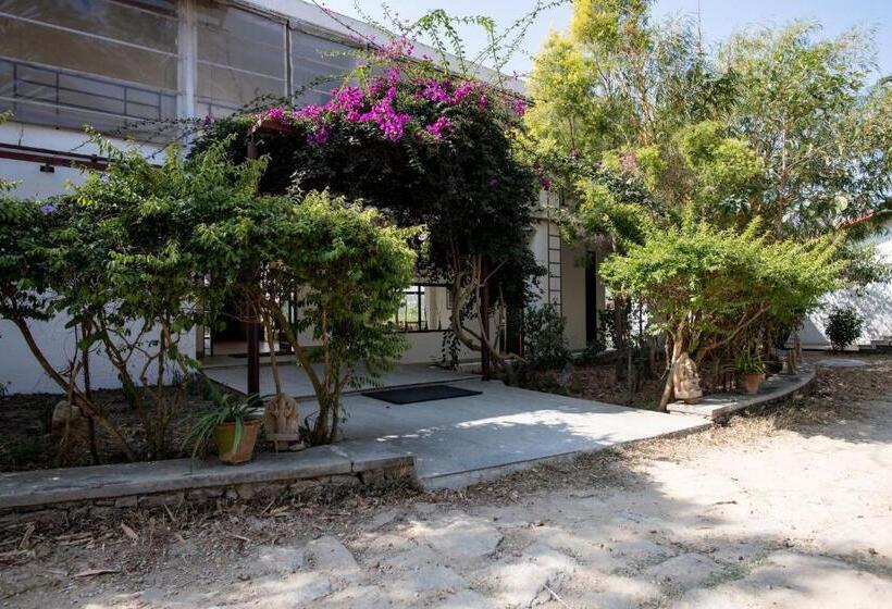 فندق Dhole's Den Bandipur