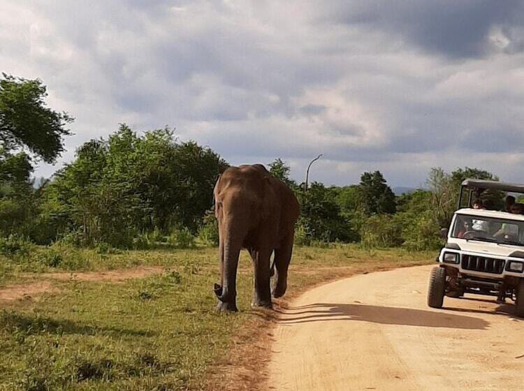 فندق Elephant Lodge