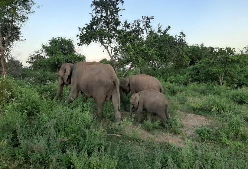فندق Elephant Lodge
