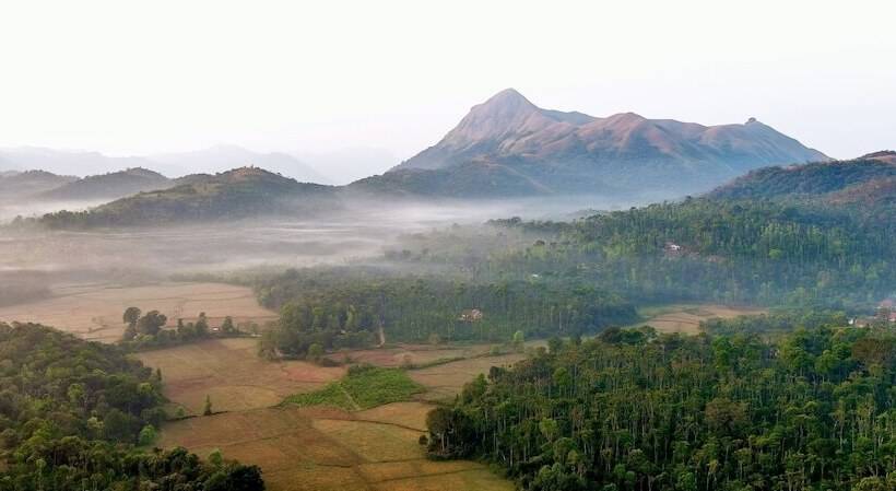 فندق Machaan Plantation Resorts Sakleshpur