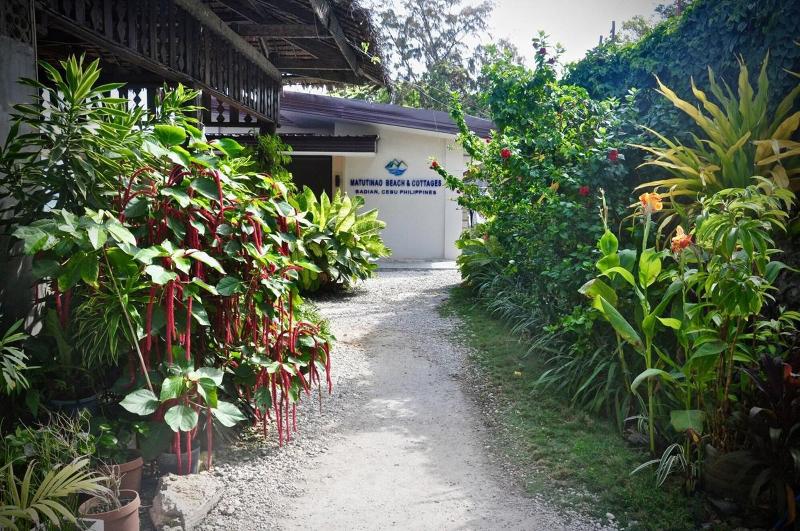 酒店 Matutinao Beach