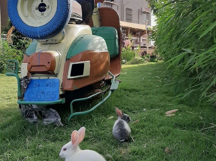 בית מלון כפרי Natraj & Resort