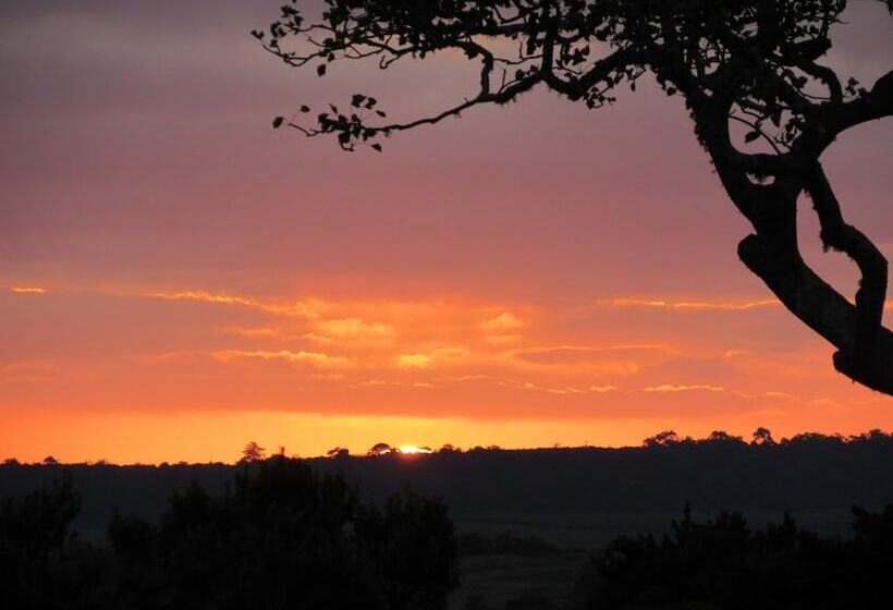 ホテル Pomeroy Lodges