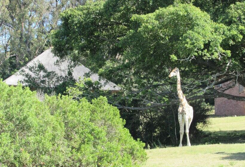 ホテル Pomeroy Lodges