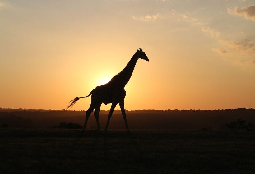 ホテル Pomeroy Lodges