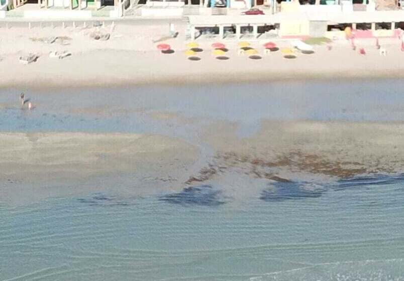 ホテル Pousada Casarão Do Mar