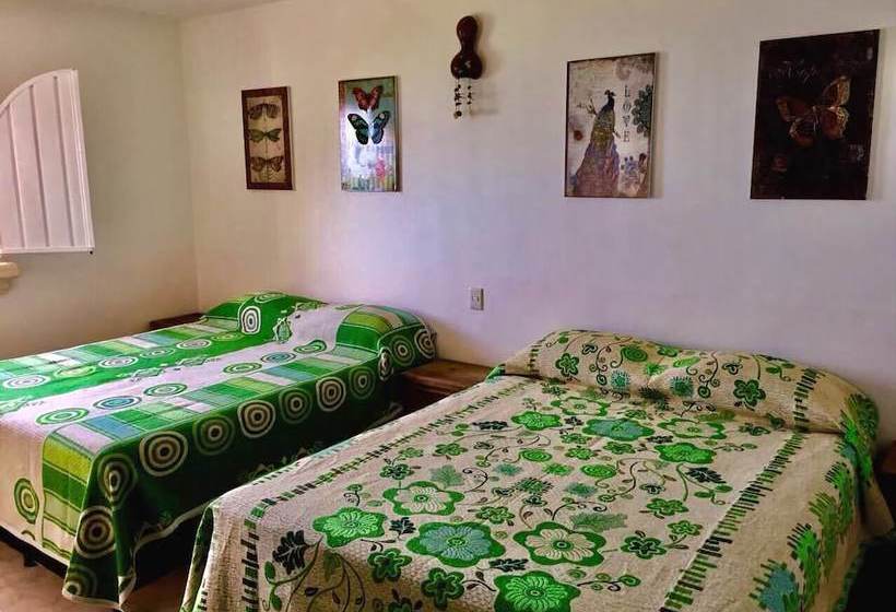 酒店 Quinta Bacalar Las Brisas