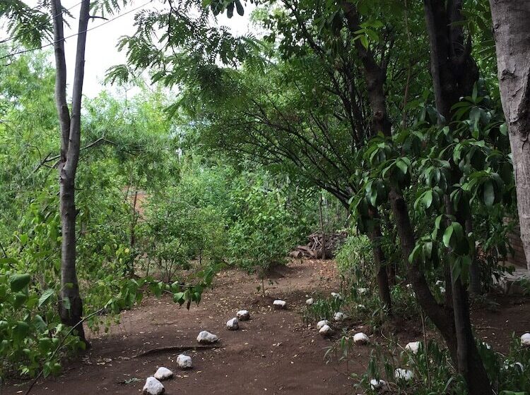 ホテル Quinta Jenny