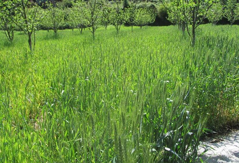 فندق Rock Top Inn