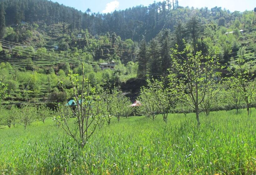 فندق Rock Top Inn