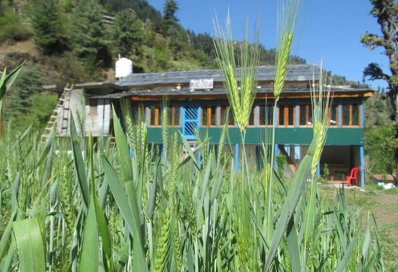 فندق Rock Top Inn