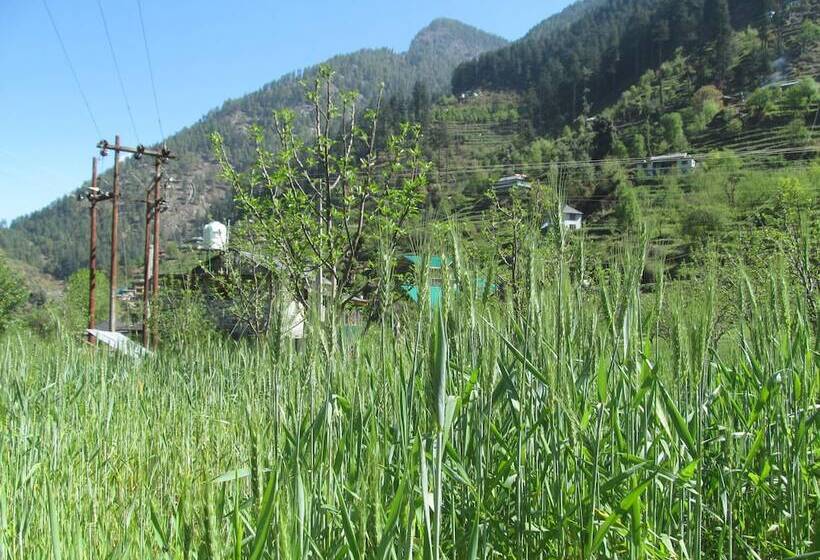 فندق Rock Top Inn