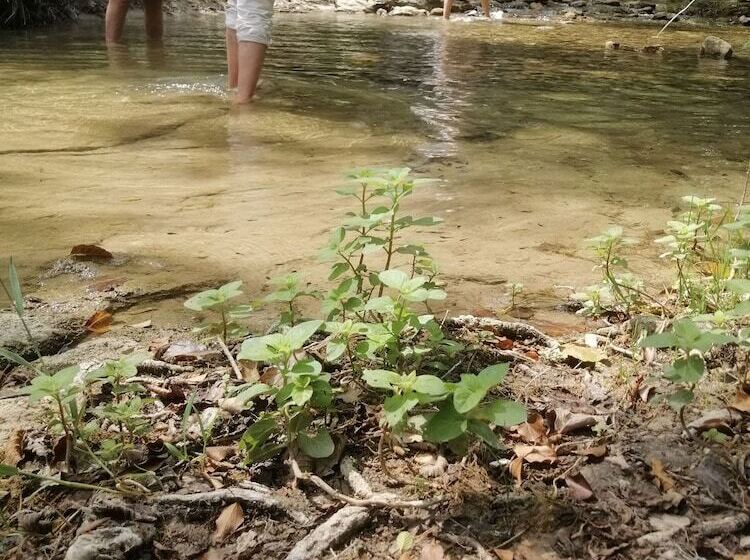 교외 호텔 Agriturismo Arcera