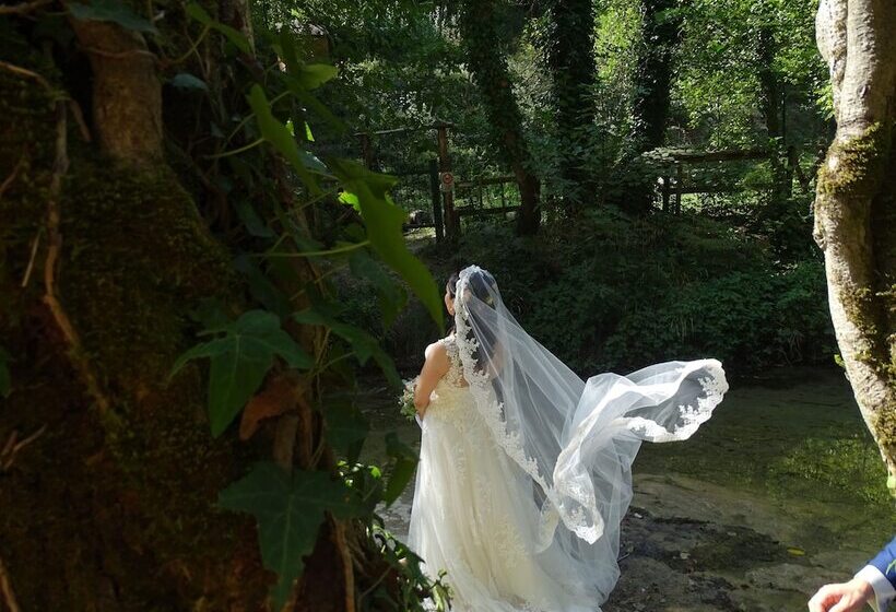 교외 호텔 Agriturismo Arcera