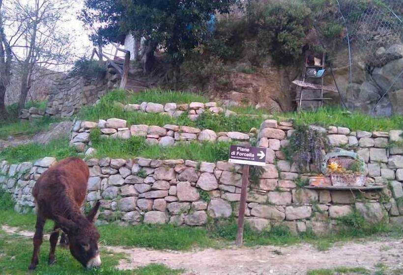 교외 호텔 Agriturismo Arcera