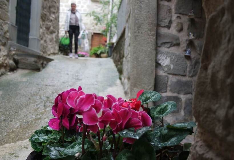 교외 호텔 Agriturismo Arcera