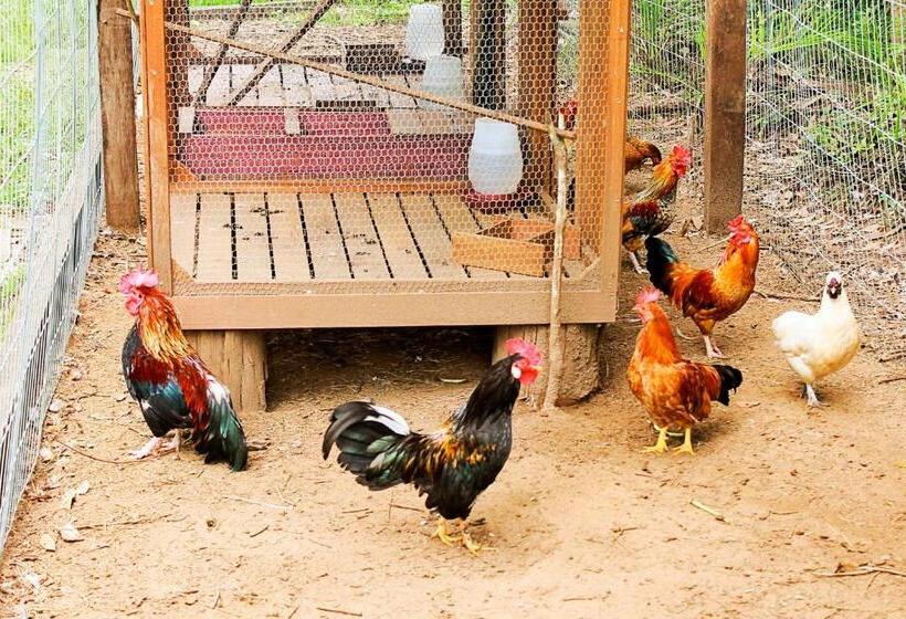 فندق ريفى ózera Hotel Fazenda