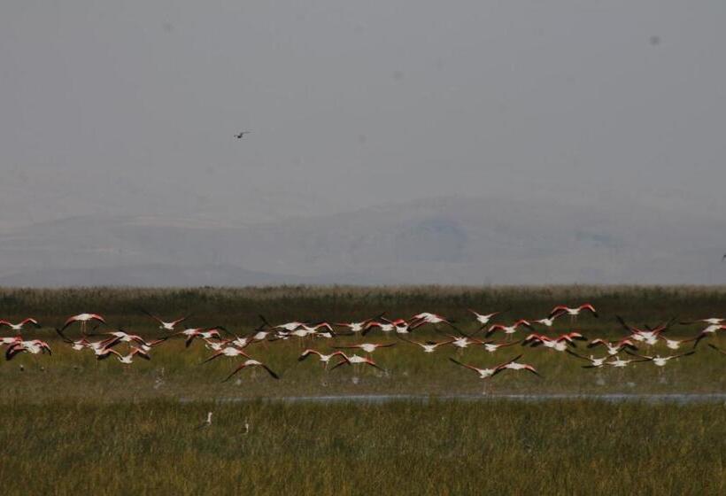 호텔 Sultan Pansion Bird Paradise