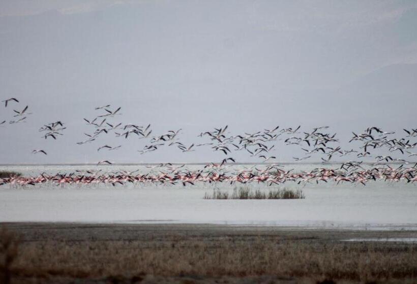 هتل Sultan Pansion Bird Paradise