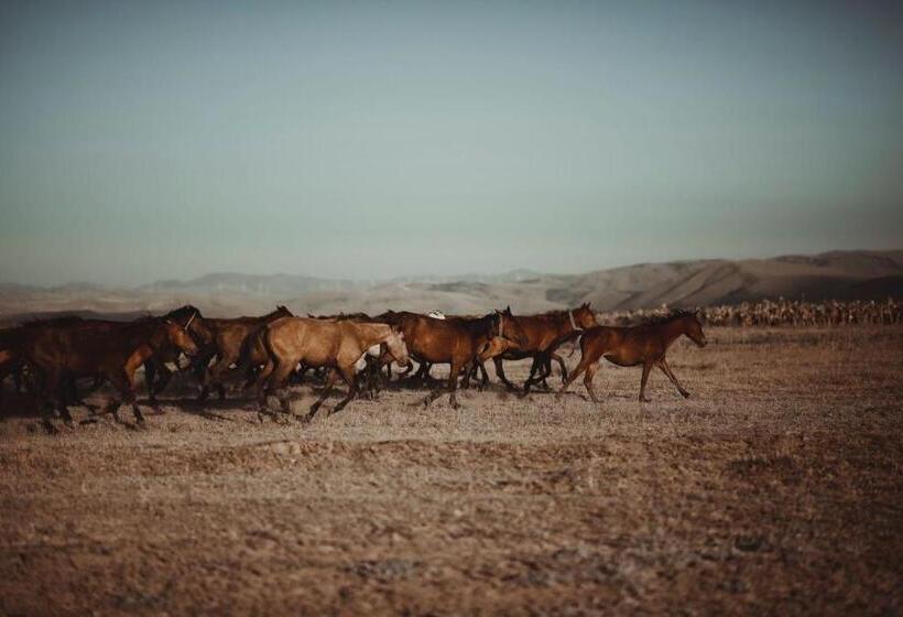 호텔 Sultan Pansion Bird Paradise