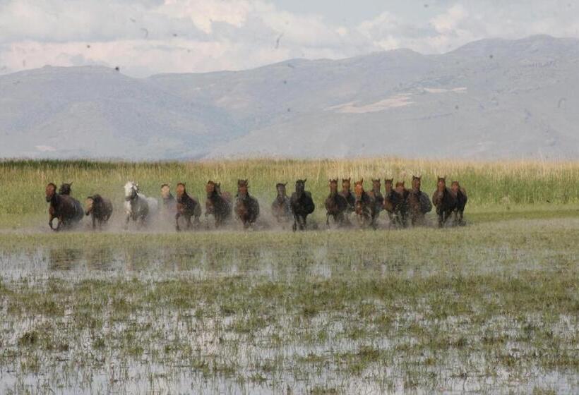 호텔 Sultan Pansion Bird Paradise