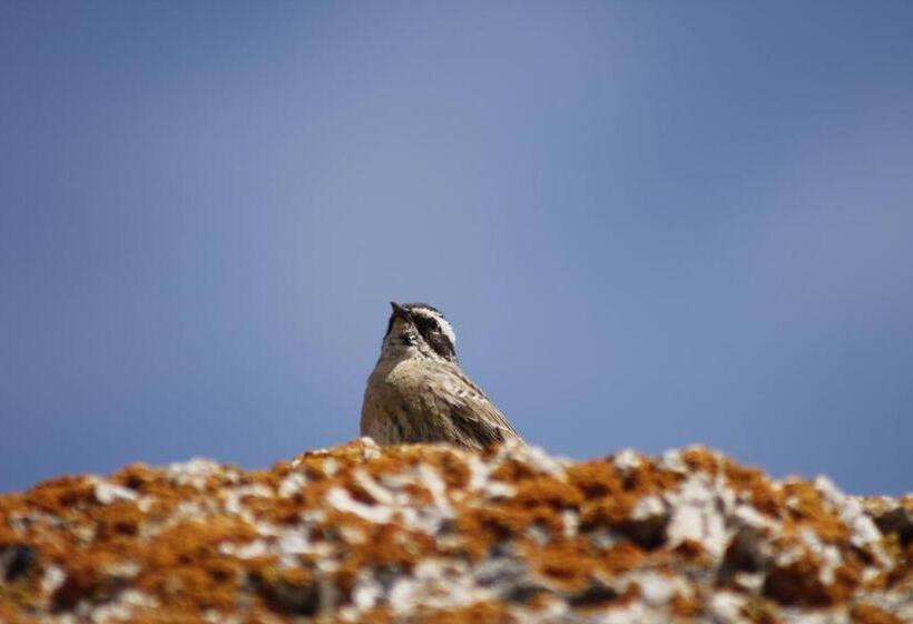 호텔 Sultan Pansion Bird Paradise